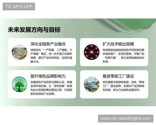 问鼎官方的技术创新推动行业变革，助力品牌实现问鼎发展目标