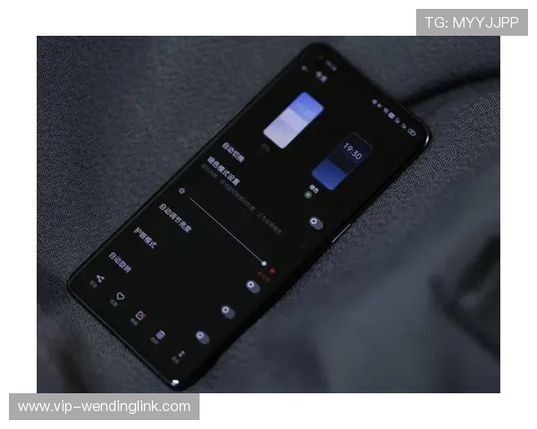 手机端问鼎：提升手机游戏性能的实用技巧与最佳优化方案