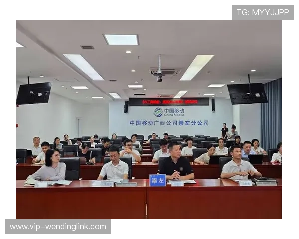 问鼎网址官方网站的优势如何充分利用平台资源提升工作效率